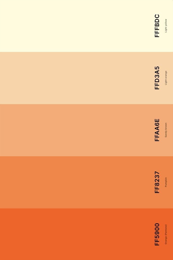 Paleta apresentacao apricot crush